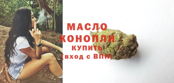 спиды Богородицк