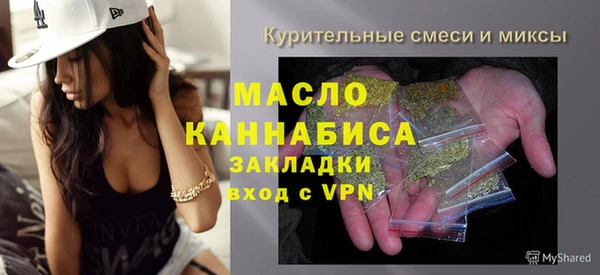 спиды Богородицк