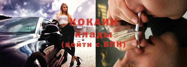 спиды Богородицк