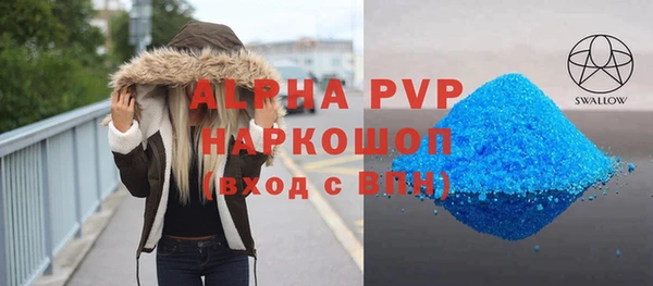спиды Богородицк