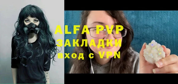 спиды Богородицк