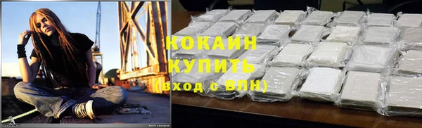 спиды Богородицк