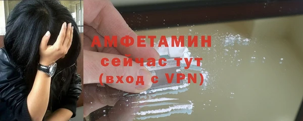 спиды Богородицк