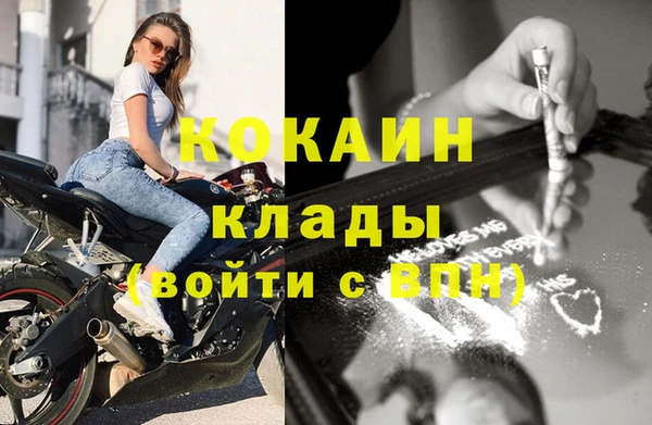 спиды Богородицк