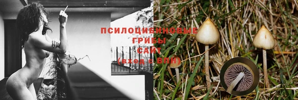спиды Богородицк
