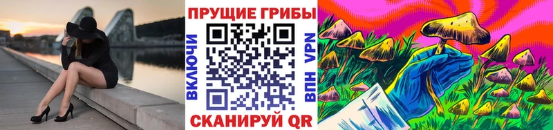 Галлюциногенные грибы Magic Shrooms  Купить  Оха 