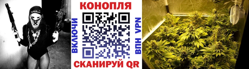 Купить  Оха  Конопля Ganja 
